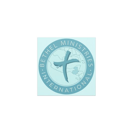 BMI Car Magnets